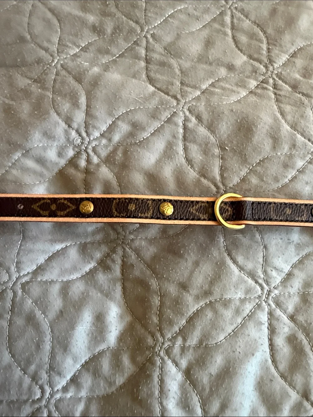 Louis Vuitton Barter Dog collar